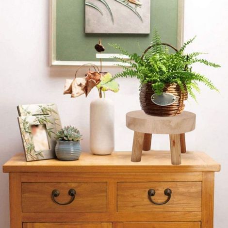 Support Pour Plantes - Bois Massif - 14 x 14 x 9 cm - Intérieur Et Extérieur - 1 Pièce (1/4)