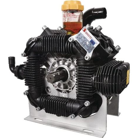 Pompe BERTOLINI 289220973VD