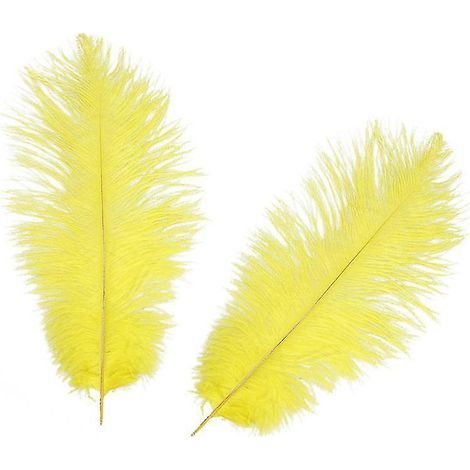5 plumes d'autruche naturelles (1/3)