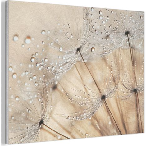 TABLEAU ACOUSTIQUE Pissenlit - Abstrait - Nature - Beige Décoration Murale Feutre 100x70 cm (1/5)