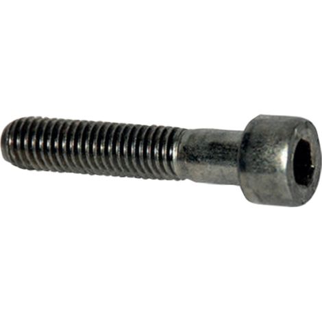 SW-II M8X30mm A2 (100 Pz.) (1/5)