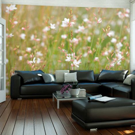Papier peint petites fleurs blanches - 250 x 193 cm