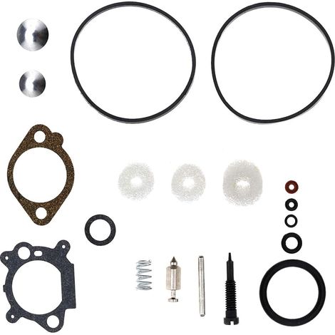 Assortiment de Joints Carburateur Kit de Réparation Reconstruction Moteur pour Briggs Stratton Quantum Max 398183/498261/490937 (1/4)