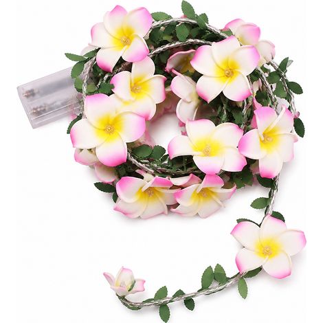 Guirlande Lumineuse LED USB à Fleurs de Frangipanier Roses et Feuillage, 40 LED, Décoration de Noël (1/5)