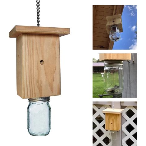 Piège à abeilles en bois et verre - AquaForge (1/5)