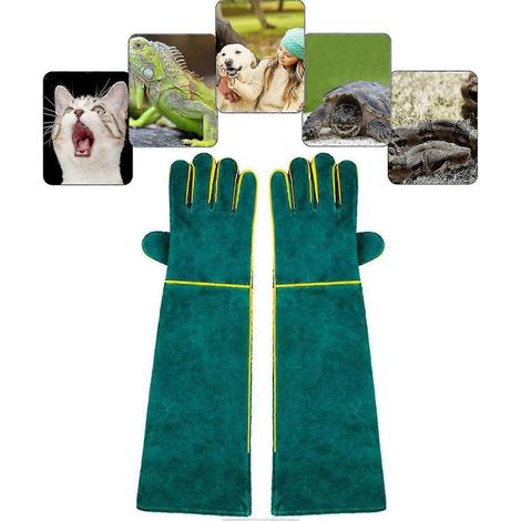 Filiyano-Gants anti-morsures pour animaux, gants de travail en cuir pour le bain, le toilettage, le dressage canin, etc. (1/5)