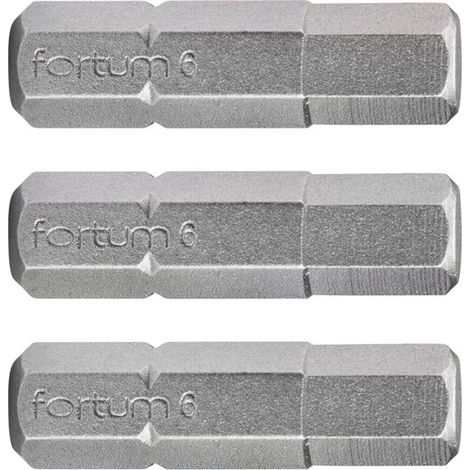 Juego de 3 puntas Allen FORTUM, 6 x 25 mm, S2 4741508