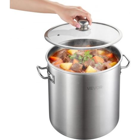 Marmite en Acier Inoxydable 19 - 9 L Faitout Inox avec Couvercle (1/5)