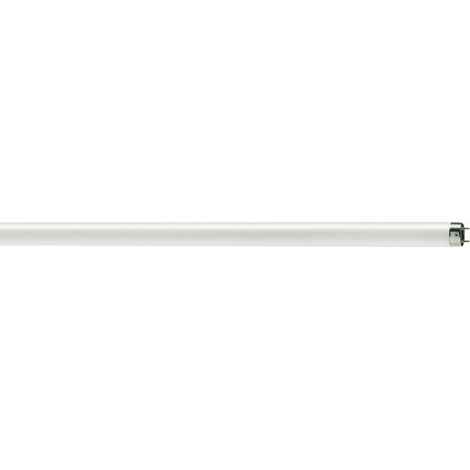 Lampade fluorescenti T8 58W G13 5250LM 840 150 cm (entro 24)
