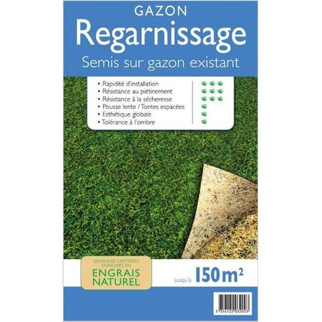 Gazon Regarnissage Enrichi 3kg