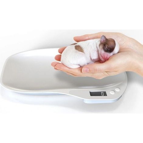 Balance Digitale pour Animaux 15000g - Mesure Précise pour Petits Animaux, Paquets Postaux et Cuisine (1/5)