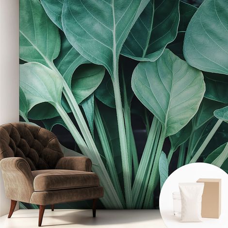 Papier peint intissé à motifs décoratifs pour salon chambre et bureau Décoration murale élégante avec colle Nature verdoyante 250x250 cm (1/5)