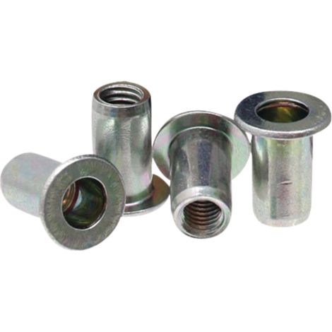 Confezione da 100 dadi a rivetto a testa piatta M8-55 (1/2)