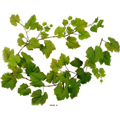 Guirlande de feuilles de Vigne artificielles Vertes L 180 cm 62 grandes feuilles