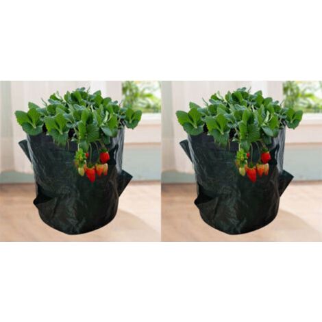 Sacs de culture pour fraises – 2 unités en tissu non tissé respirant, 18 L (5 gallons), dimensions 23 x 28 cm avec 4 ouvertures (1/5)