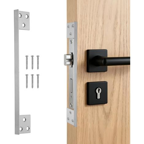 Plaque de Protection de Verrou Porte 180mm avec Vis Argenté (1/5)
