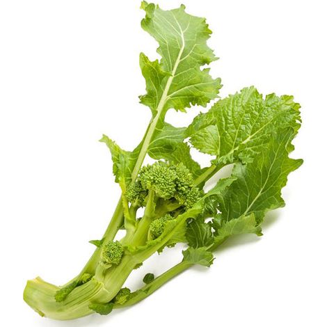 Semi di cima di Rapa "Cinquantina cima grossa" piante per orto e giardino