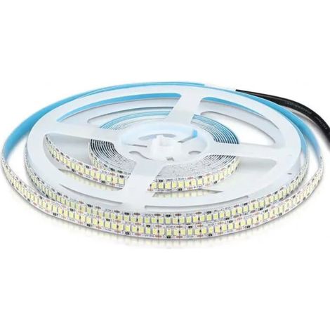 LED STRISCIA SMD2835 240 LEDS HIGH LUMEN 3000K IP20 - Luce CALDA (1/5)