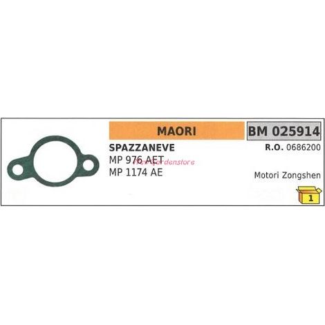 Guarnizione MAORI spazzaneve MP976 AET 1174AE 025914