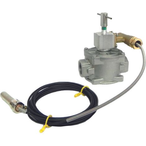 1 bar kraftstoffabsperrventil mit gewinde kombiventil dn20/3/4 "mit gewinde vicp03 omol/tarred inail t.98°c pmax