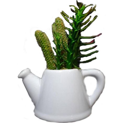 Un set di piante grasse in un annaffiatoio di ceramica bianca - due modelli (1/5)