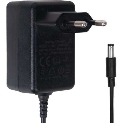 Chargeur Universel 12V 1A pour véhicules électriques pour Enfants compatible avec voitures, motos, SUV et ATV (1/5)