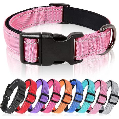 Collier Chien : Collier Réfléchissant pour Chien, Collier en Néoprène Doux, Rembourré et Respirant en Nylon (1/5)