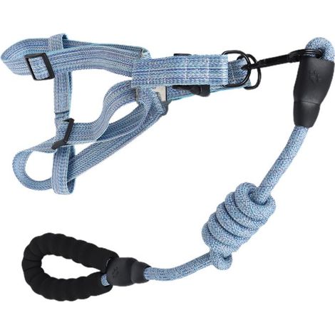 Tbest Harnais pour chien avec laisse Ensemble de Harnais de Chien avec Laisse animalerie collier XL (convient pour 45-60 kg) (1/5)