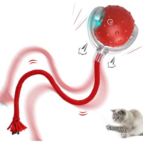 Jouet interactif électrique automatique pour chat, rechargeable, à mouvements irréguliers, stimule l'instinct de chasse du chat, convient à tous les types de sols et tapis. (1/5)