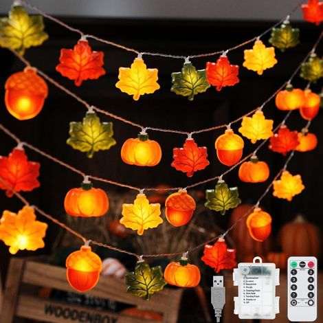 6M,40 LED,8modes avec Minuteur,Alimentée par Batterie,Gland et Feuille d'érable,Décoration Intérieure pour la Fête de Thanksgiving,Halloween