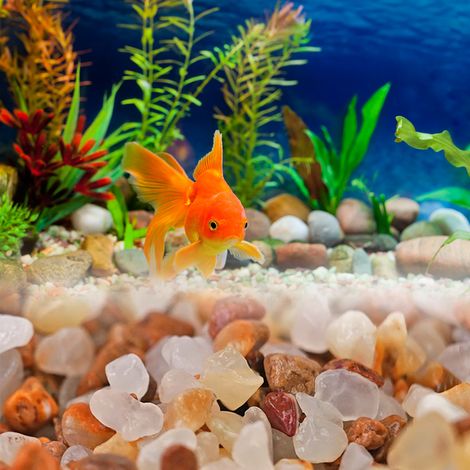 Décoration d'aquarium en grès, sable cristallin, ornement pour aquarium, accessoires de bricolage pour aménagement paysager (1/5)
