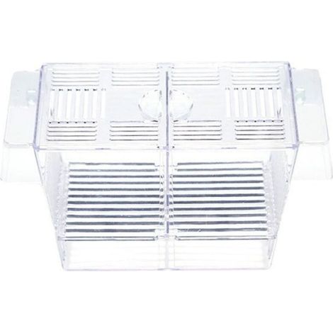 Boîte d'élevage pour poissons d'aquarium, incubateur en acrylique avec ventouse, petite boîte d'isolement, adaptée aux jeunes poissons, aux crevettes et aux poissons betta.