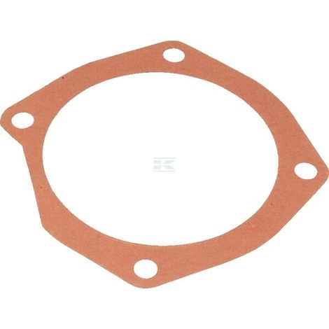Guarnizione M10100125R MASCHIO M10100125R
