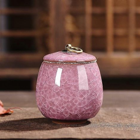 Urne funéraire en céramique scellée pour cendres de crémation, souvenir pour petits animaux (chien, chat), convient pour la maison ou la cheminée. Couleurs : jaune, violet. (1/5)