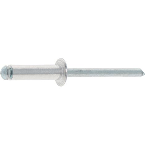 Rivetti ciechi a testa piatta 6x20mm ISO 15977 200 pz. 00370484 (1/3)