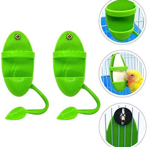 comederos para loros con soporte para frutas (1/5)