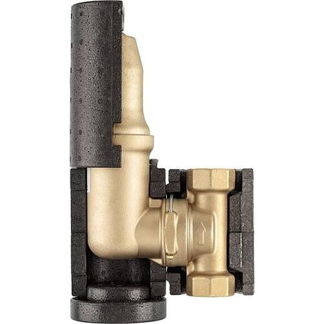 PNEUMATEX Séparateur de microbulles Zeparo ZTVI 25, rotatif, avec isolation, 30302070601 (1/2)