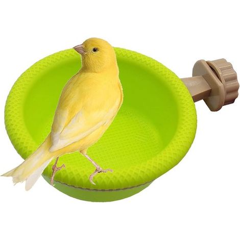 Mangeoire à oiseaux - Plastique - Fixation murale - Cage à oiseaux - Nichoir - 12 × 4,6 cm - Plantes (1/5)