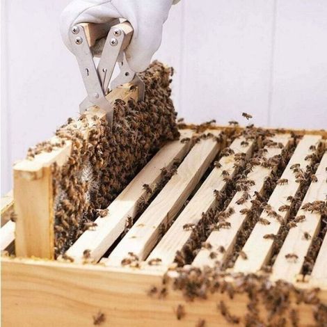 Pince lève-Cadre de Ruche en Acier Inoxydable, Outil d’Apiculteur Beehive Frame Grip Holder-LIAIKI (1/5)