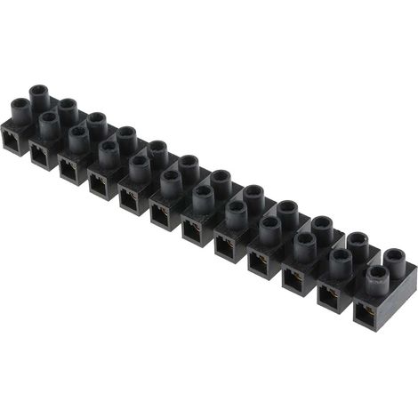 Borne de raccordement RS PRO, 12 pôles , 15mm, A visser, 16mm², 76A ( Prix pour Paquet de 5 ) (1/3)