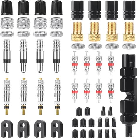 49 Pièces Presta Valve Cores Obus, Valve Presta Set avec Demonte Obus Valves, Adaptateur Valves Velo, pour Vélos/Motos/Voitures (1/5)