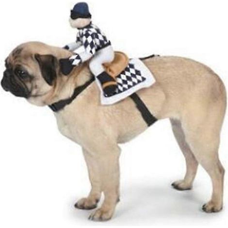 Halloween Navidad regalos decoraciones mascota vaquero montar a caballo disfraz mascota ropa para perro