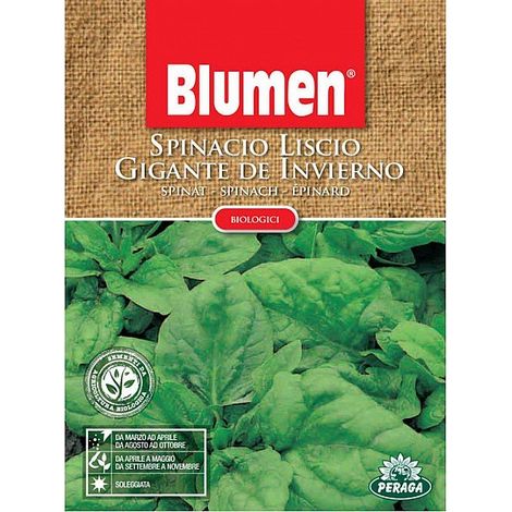 SEMI DI SPINACIO LISCIO GIGANTE BIOLOGICO (1/2)