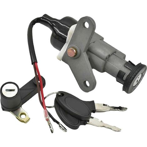 Kit de verrouillage électrique de porte de moto pour C8-- (1/5)