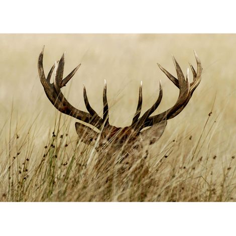 Tableau automne cerf dans un champ | Tableau animaux scandinave pour bureau | Tableau sur toile nature pour chambre adulte - 0,7 x 0,5 m (1/2)