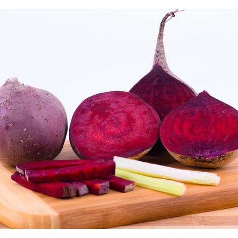 Plants de Betterave Nobol/Barquette de 6 mottes