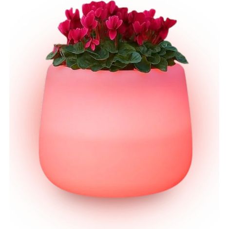 Vase lumineux design moderne Ø53 H55 en polymère résistant avec LED rouge pour intérieur et extérieur - Fabriqué en Italie - Monacis (1/4)