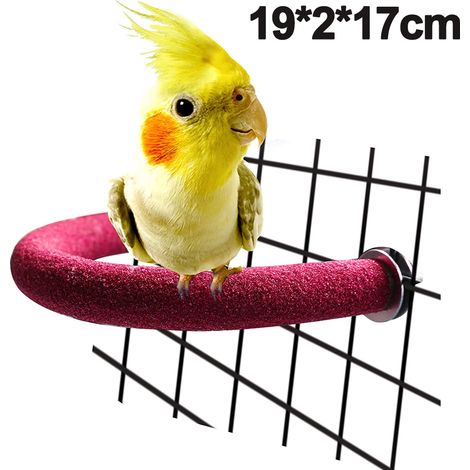 Perchoir En Bois - Support Courbé En Forme De U Pour Perroquets - Pour Ronger Et Aiguiser Le Bec - Taille Petite Ou Grande (1/5)