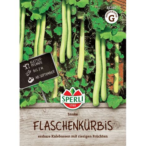 Sperli Kalebassen Snake Herkuleskeule - Blumensamen (1/2)