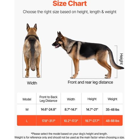 Fauteuil Roulant pour Chien Pattes Arrières Chariot à 2 Roues (1/5)